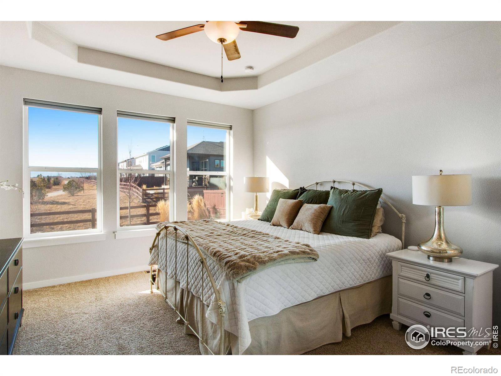 MLS Image #16 for 2168  bouquet court,windsor, Colorado