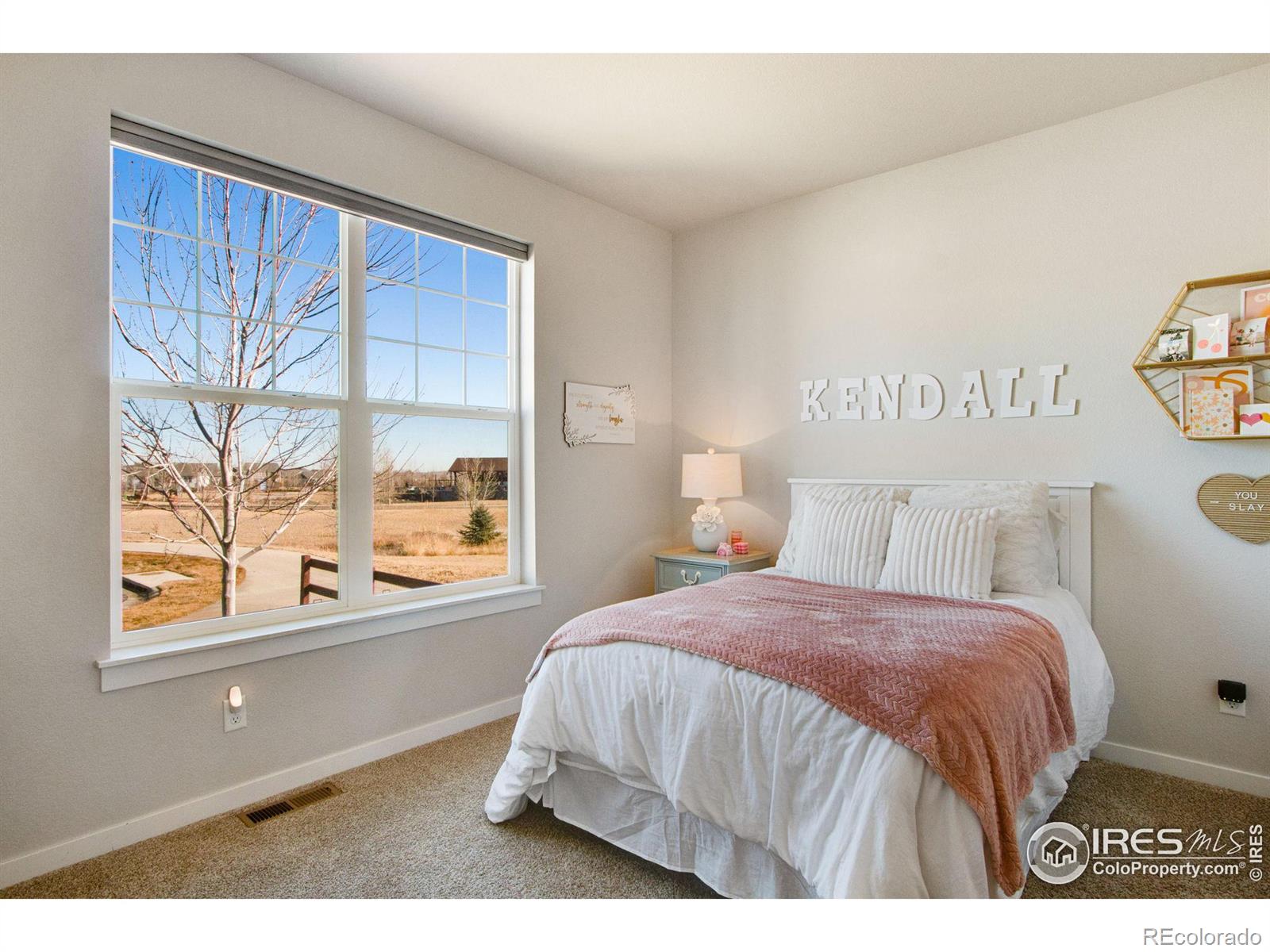 MLS Image #18 for 2168  bouquet court,windsor, Colorado