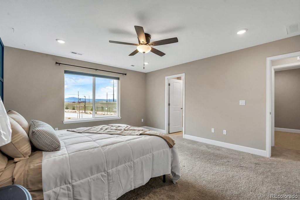 MLS Image #13 for 467  white sand trail,castle rock, Colorado