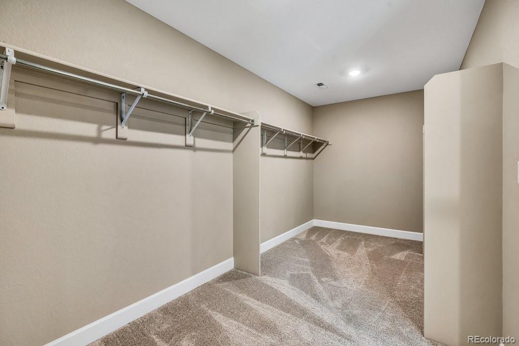 MLS Image #17 for 467  white sand trail,castle rock, Colorado