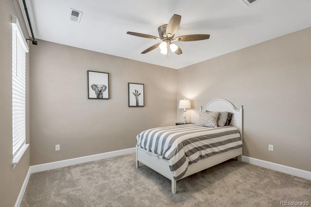MLS Image #22 for 467  white sand trail,castle rock, Colorado
