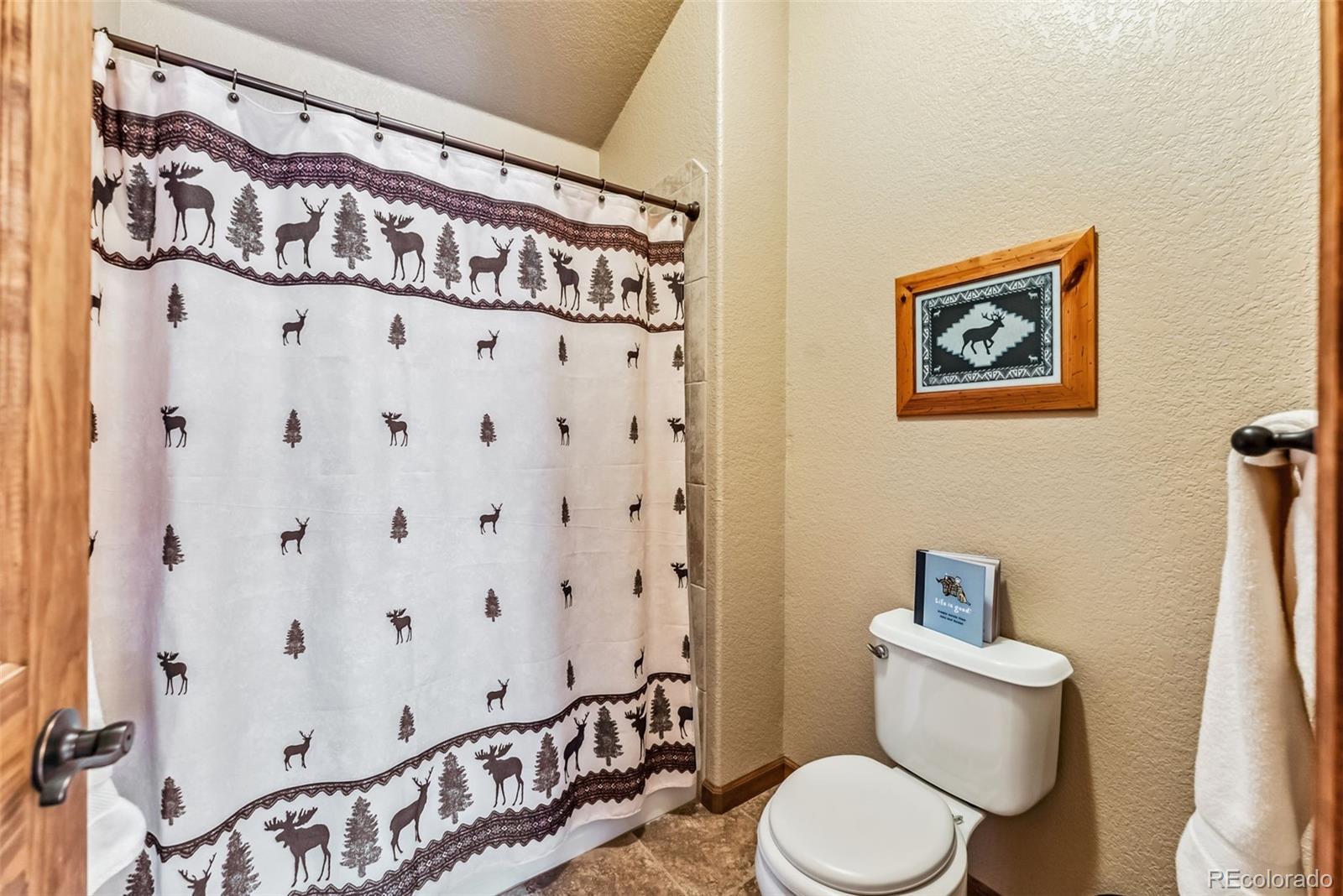 MLS Image #15 for 144  puma place,fairplay, Colorado