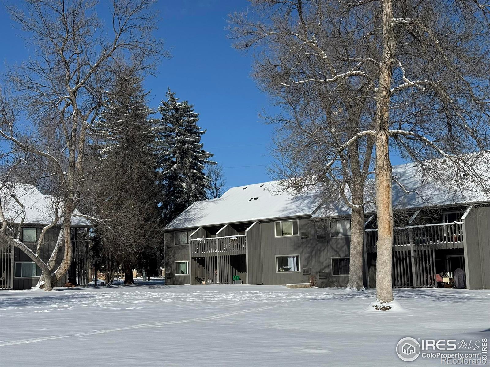 MLS Image #11 for 705 e drake road,fort collins, Colorado