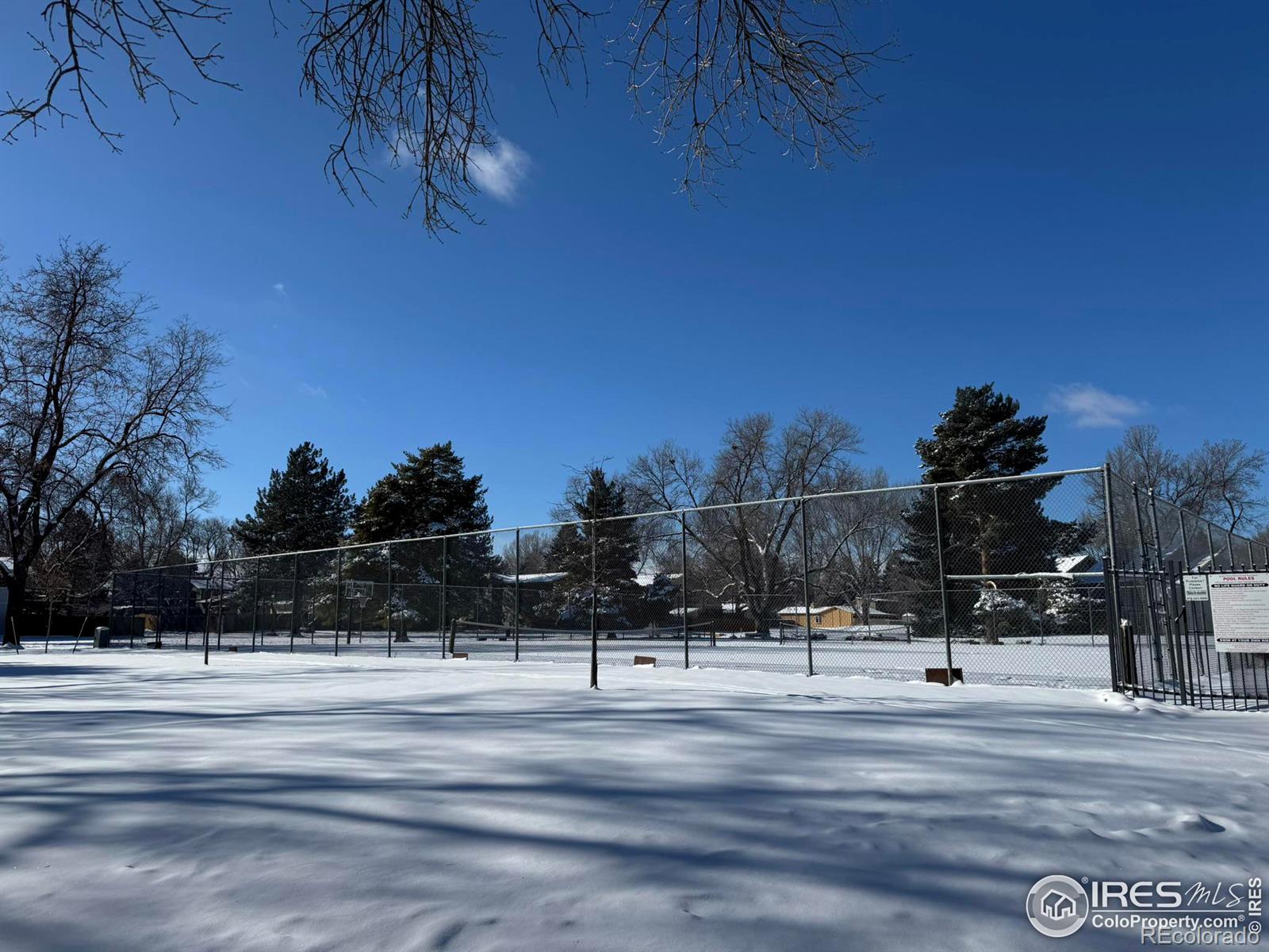 MLS Image #13 for 705 e drake road,fort collins, Colorado