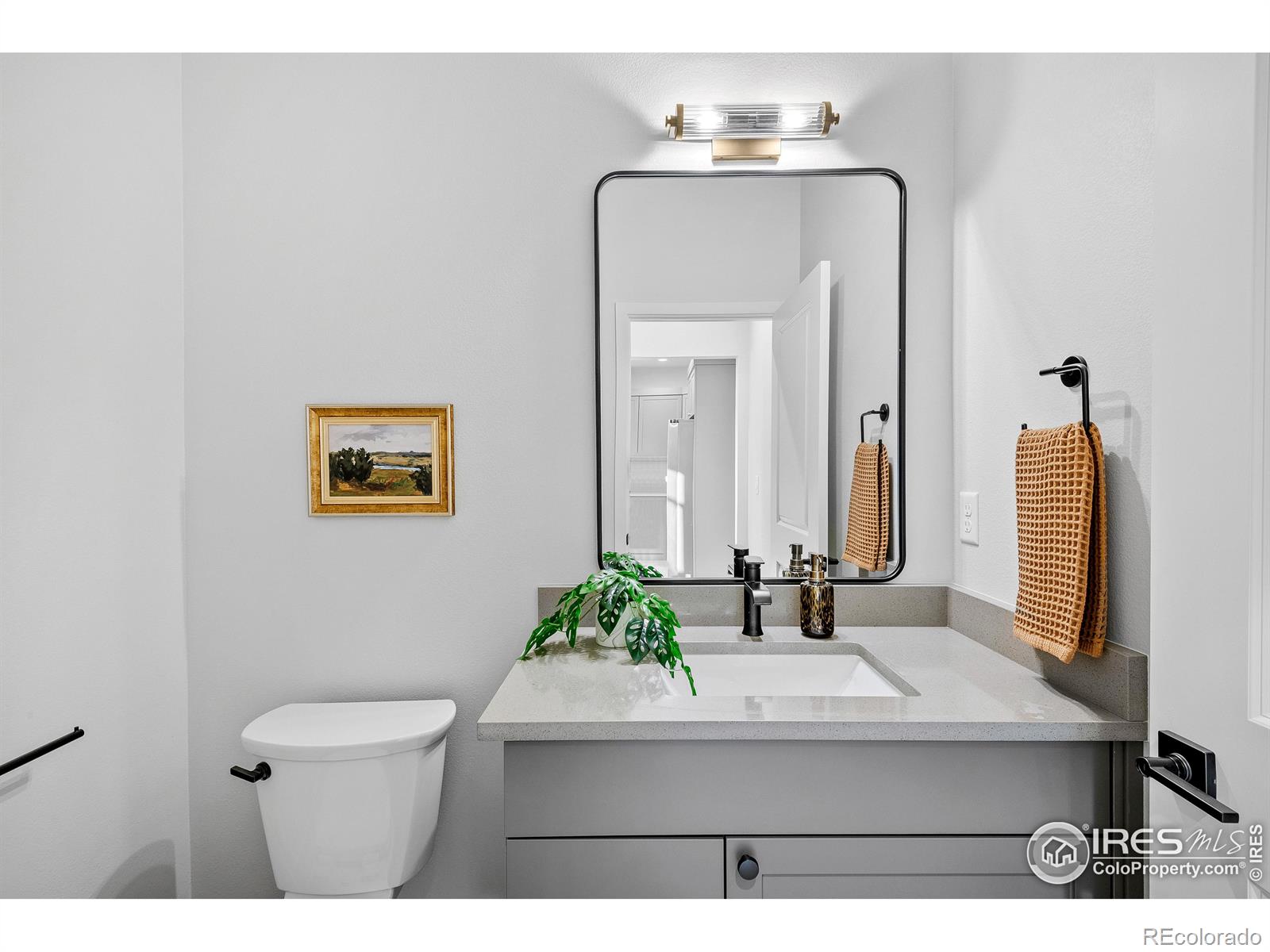 MLS Image #12 for 648  greenspire drive,windsor, Colorado