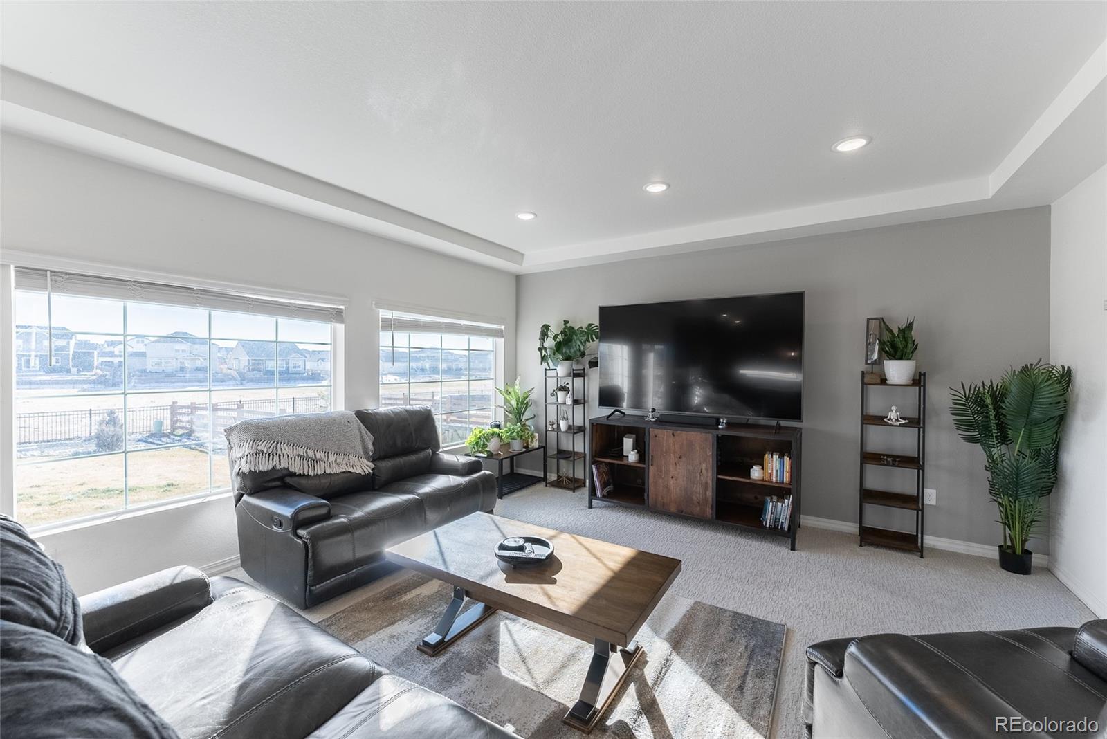 MLS Image #19 for 16508 e 111th place,commerce city, Colorado