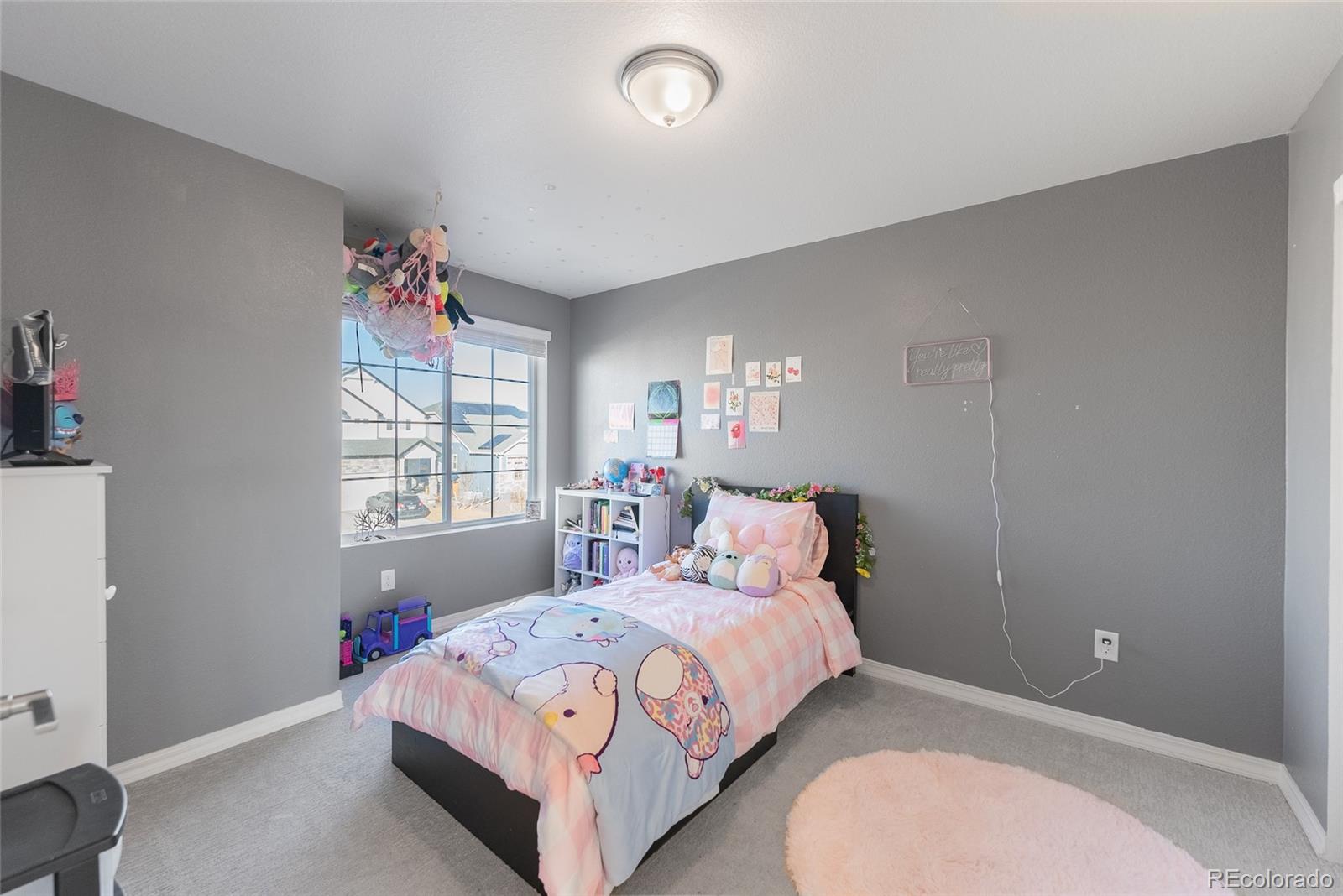 MLS Image #40 for 16508 e 111th place,commerce city, Colorado