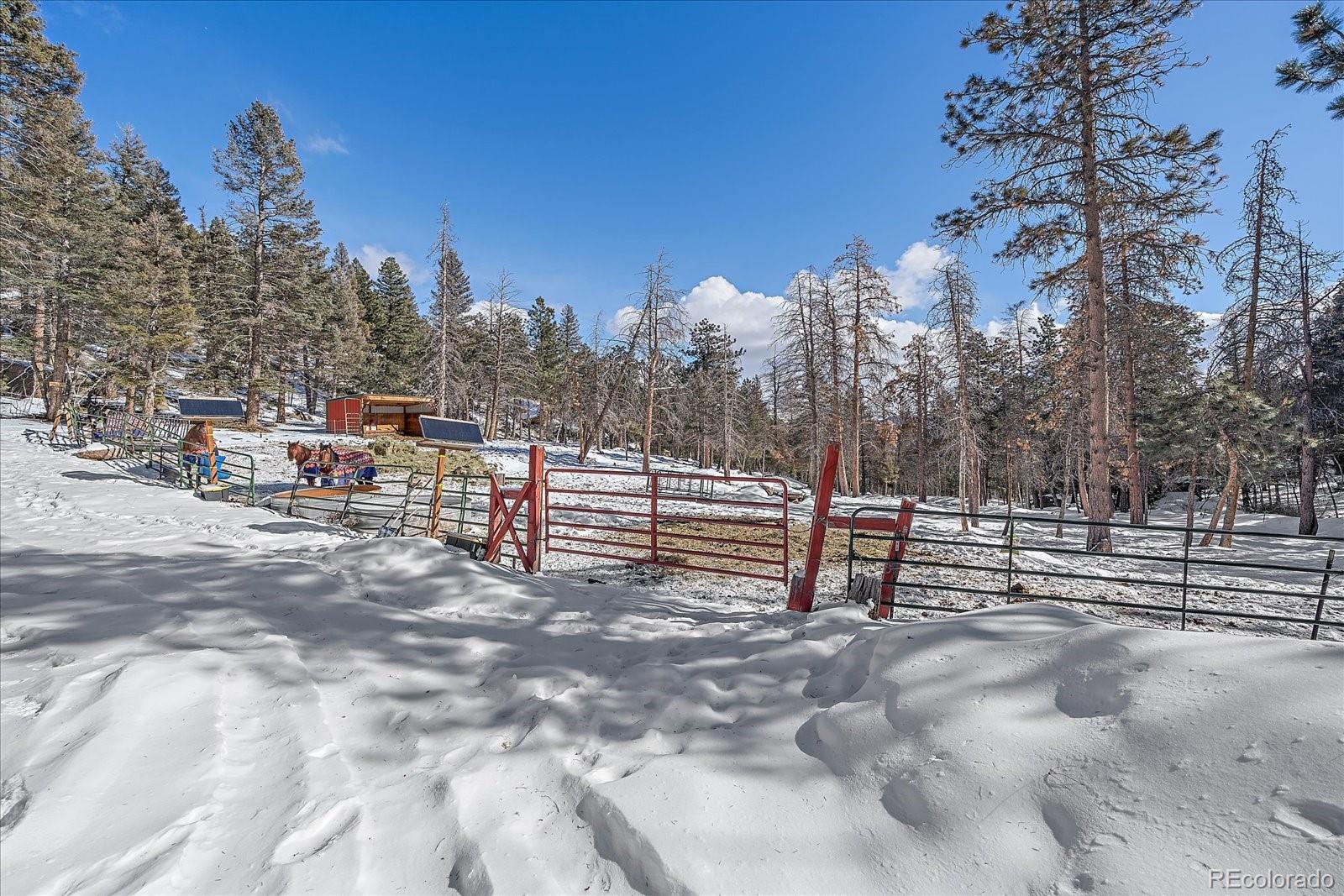 MLS Image #40 for 10658  tallberg lane,conifer, Colorado