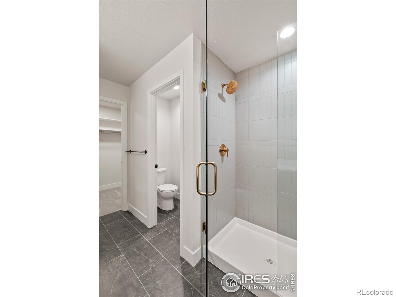 MLS Image #14 for 648  greenspire drive,windsor, Colorado
