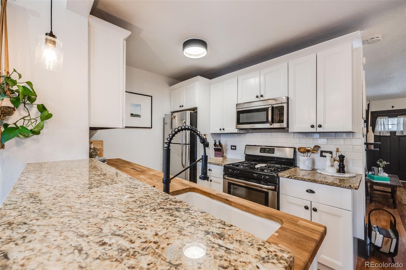 MLS Image #9 for 331 s washington street,denver, Colorado