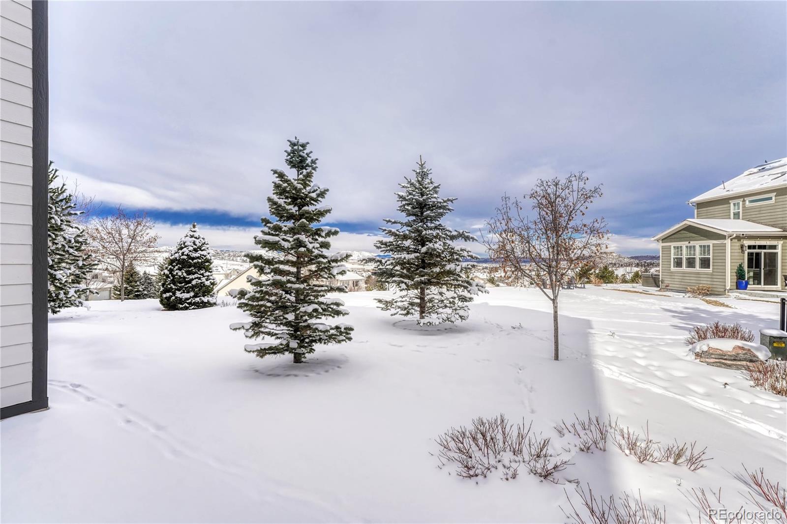 MLS Image #9 for 1075  whitekirk place,castle rock, Colorado