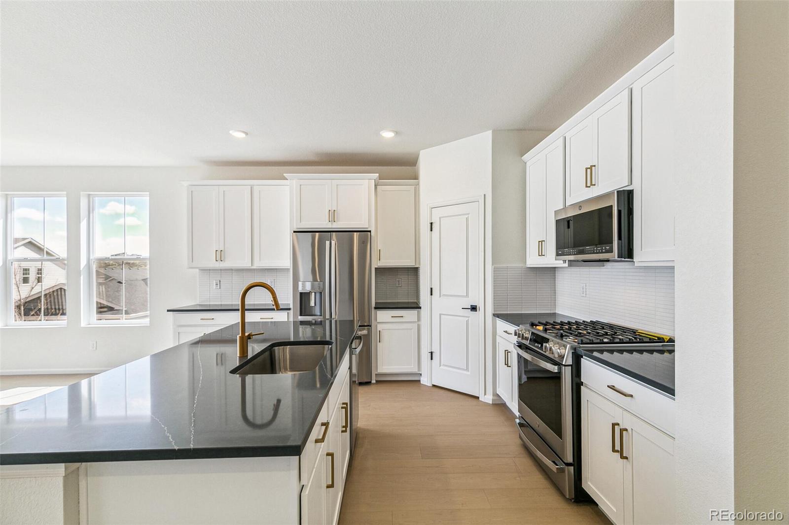 MLS Image #10 for 4371  soapberry place,castle rock, Colorado