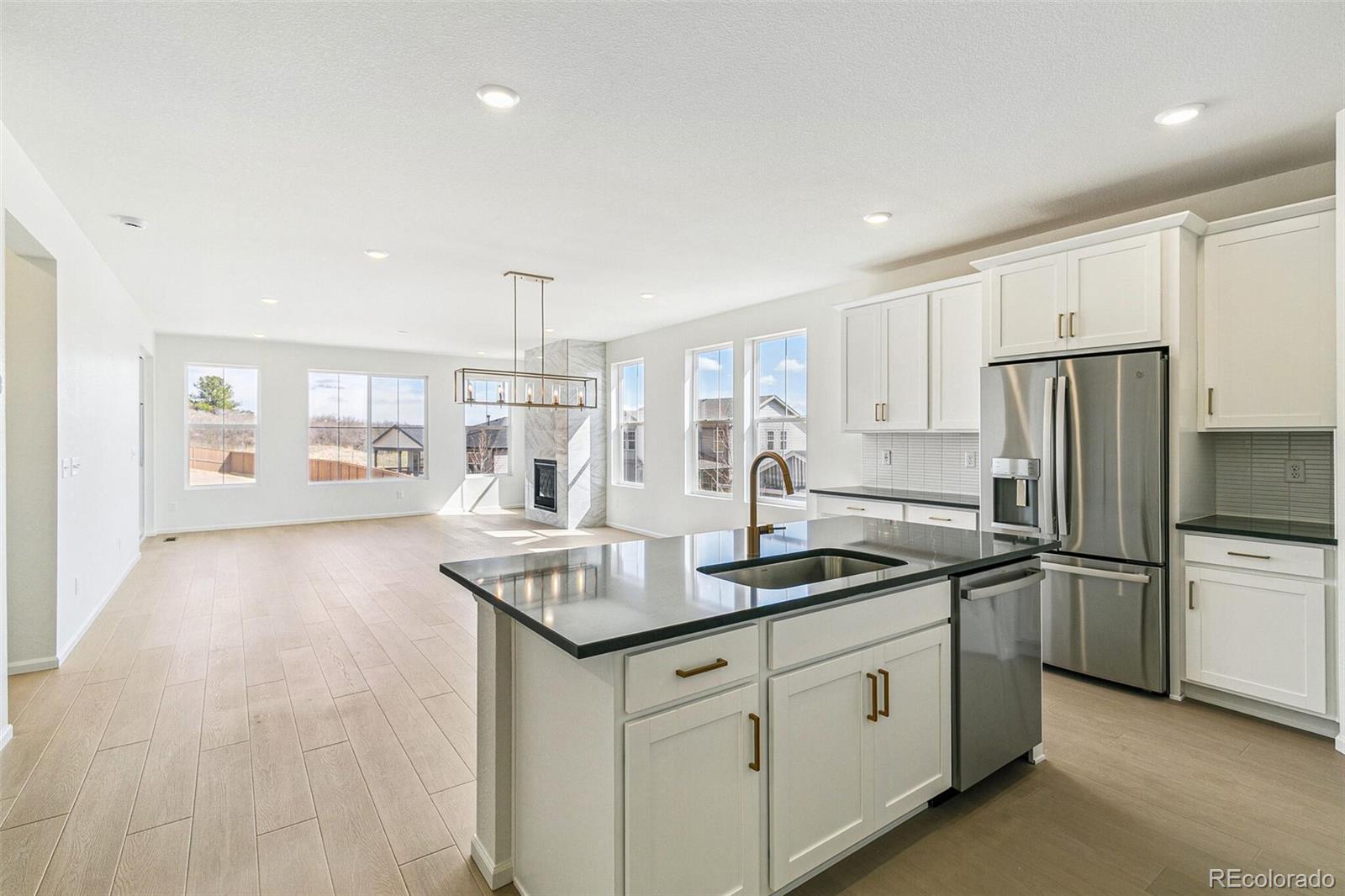 MLS Image #14 for 4371  soapberry place,castle rock, Colorado