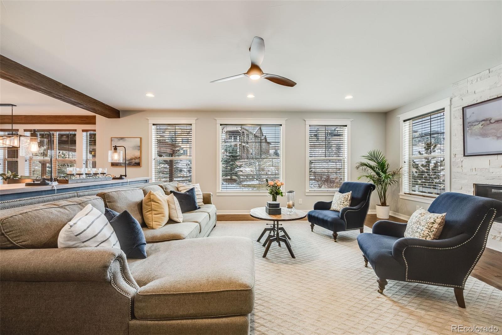 MLS Image #10 for 10738  braesheather court,highlands ranch, Colorado