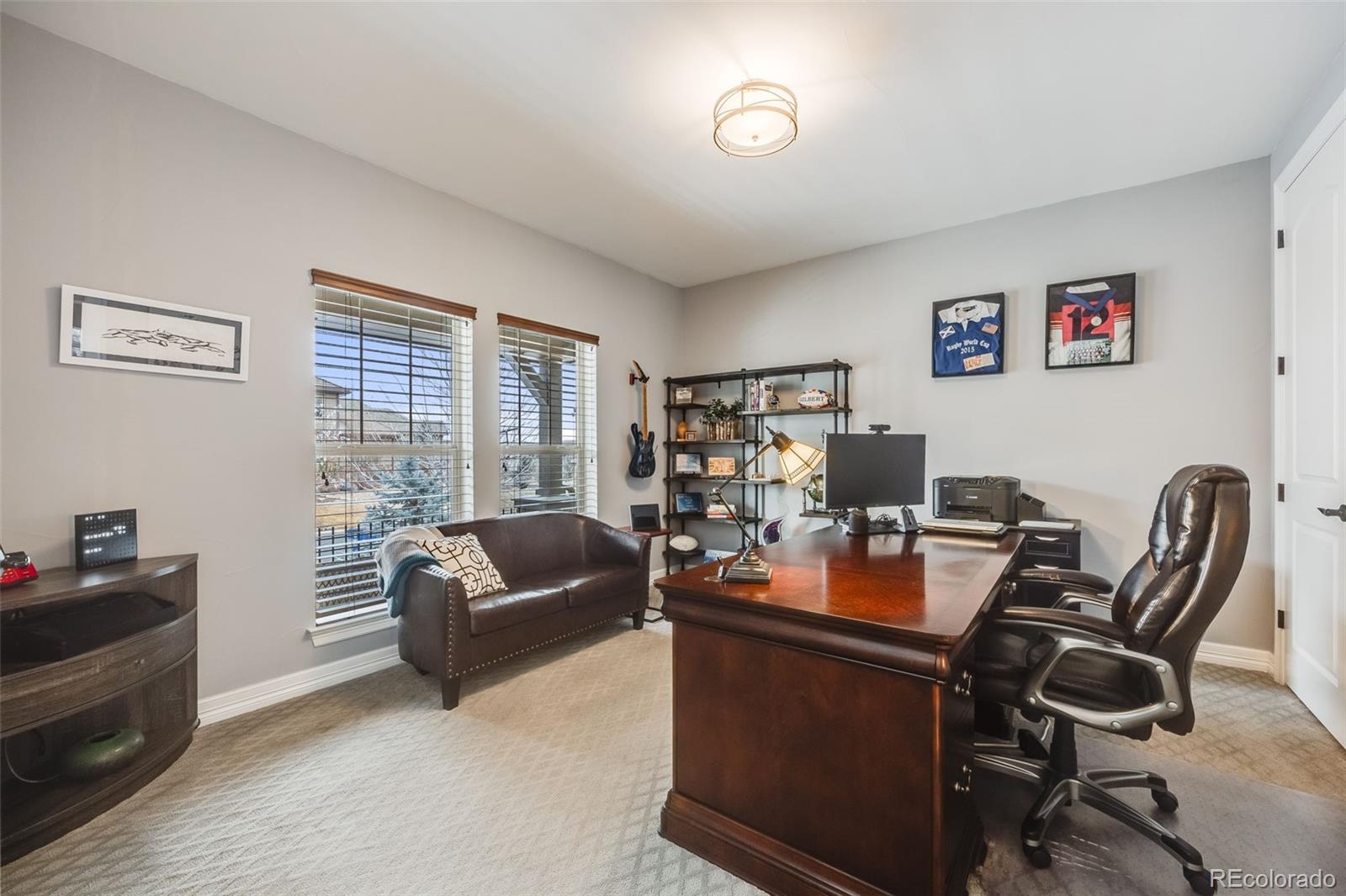 MLS Image #16 for 10738  braesheather court,highlands ranch, Colorado