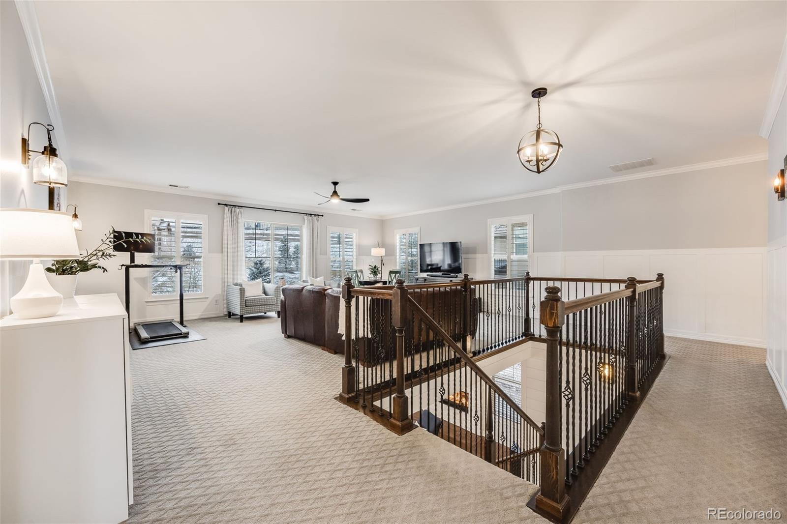 MLS Image #19 for 10738  braesheather court,highlands ranch, Colorado