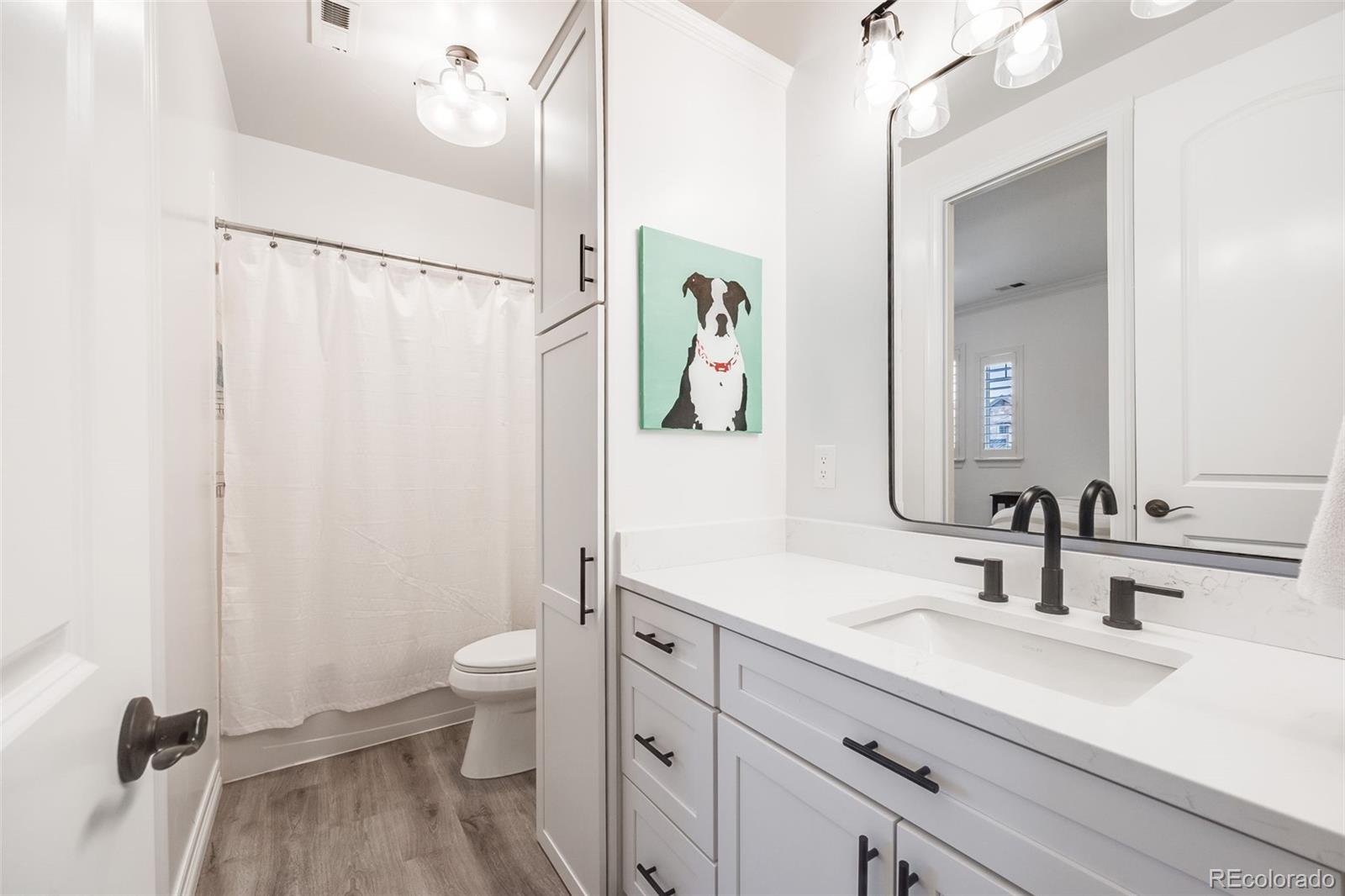 MLS Image #27 for 10738  braesheather court,highlands ranch, Colorado