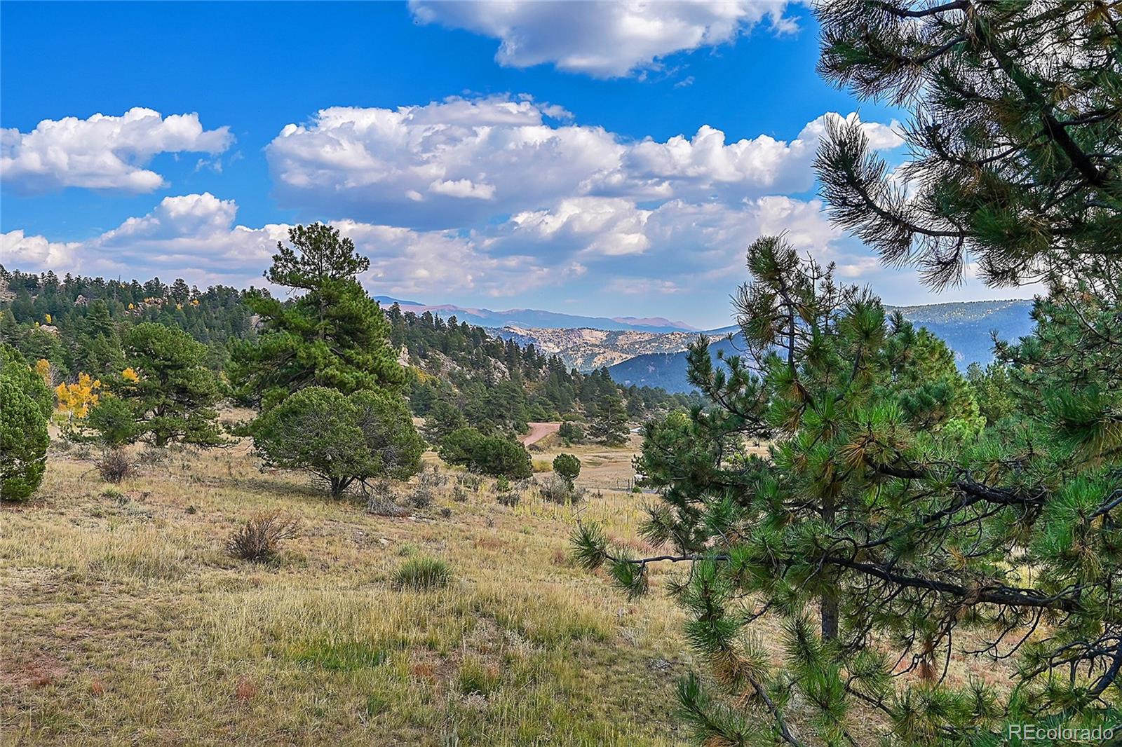 MLS Image #2 for 1441  high chateau road,florissant, Colorado