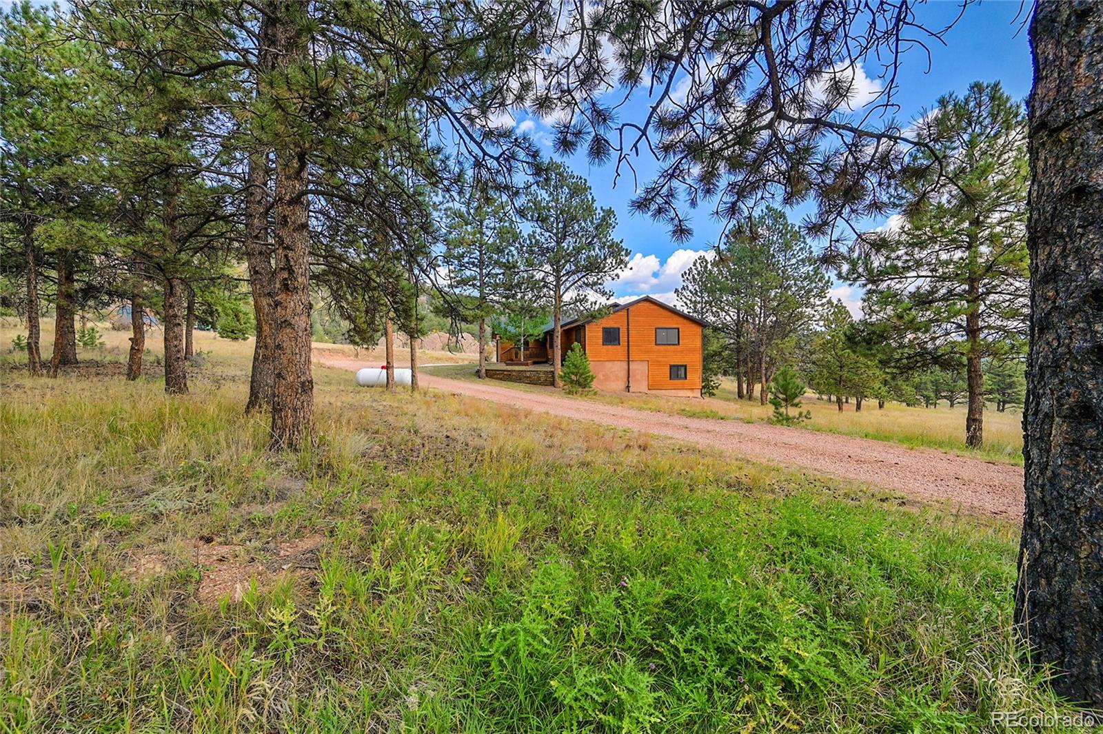 MLS Image #46 for 1441  high chateau road,florissant, Colorado