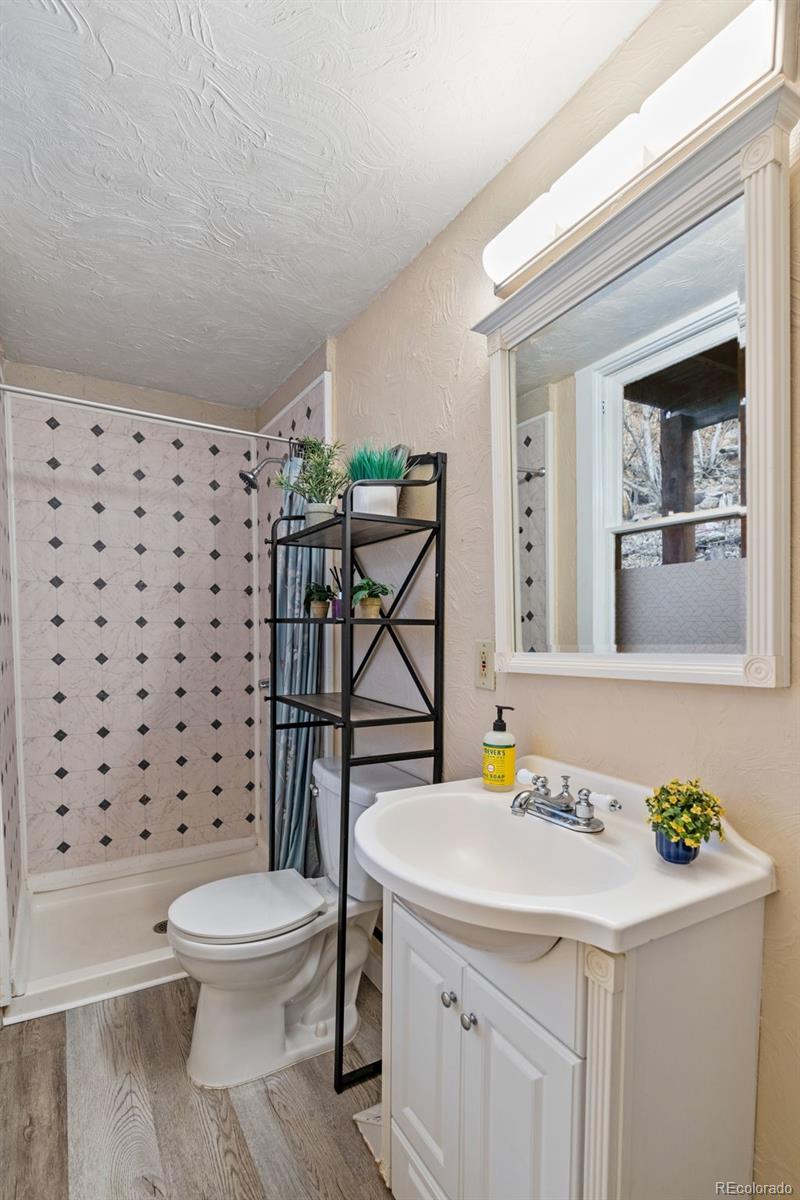 MLS Image #19 for 108  capitol hill avenue,manitou springs, Colorado