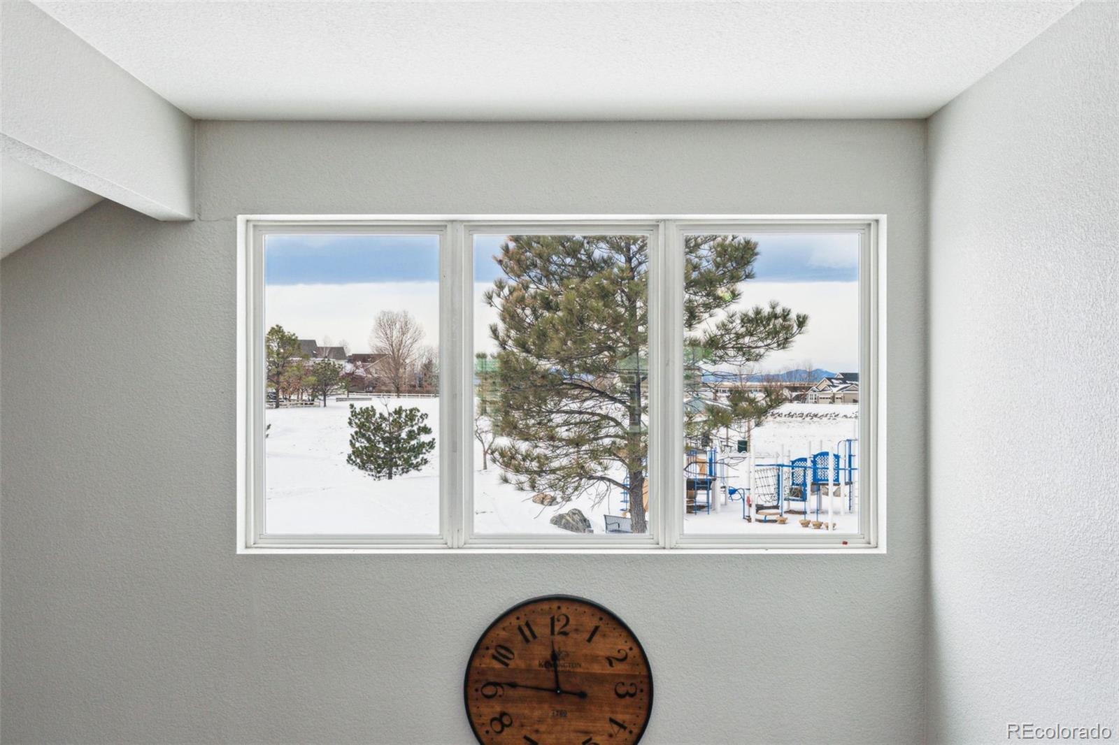 MLS Image #25 for 15967  butterwort circle,parker, Colorado