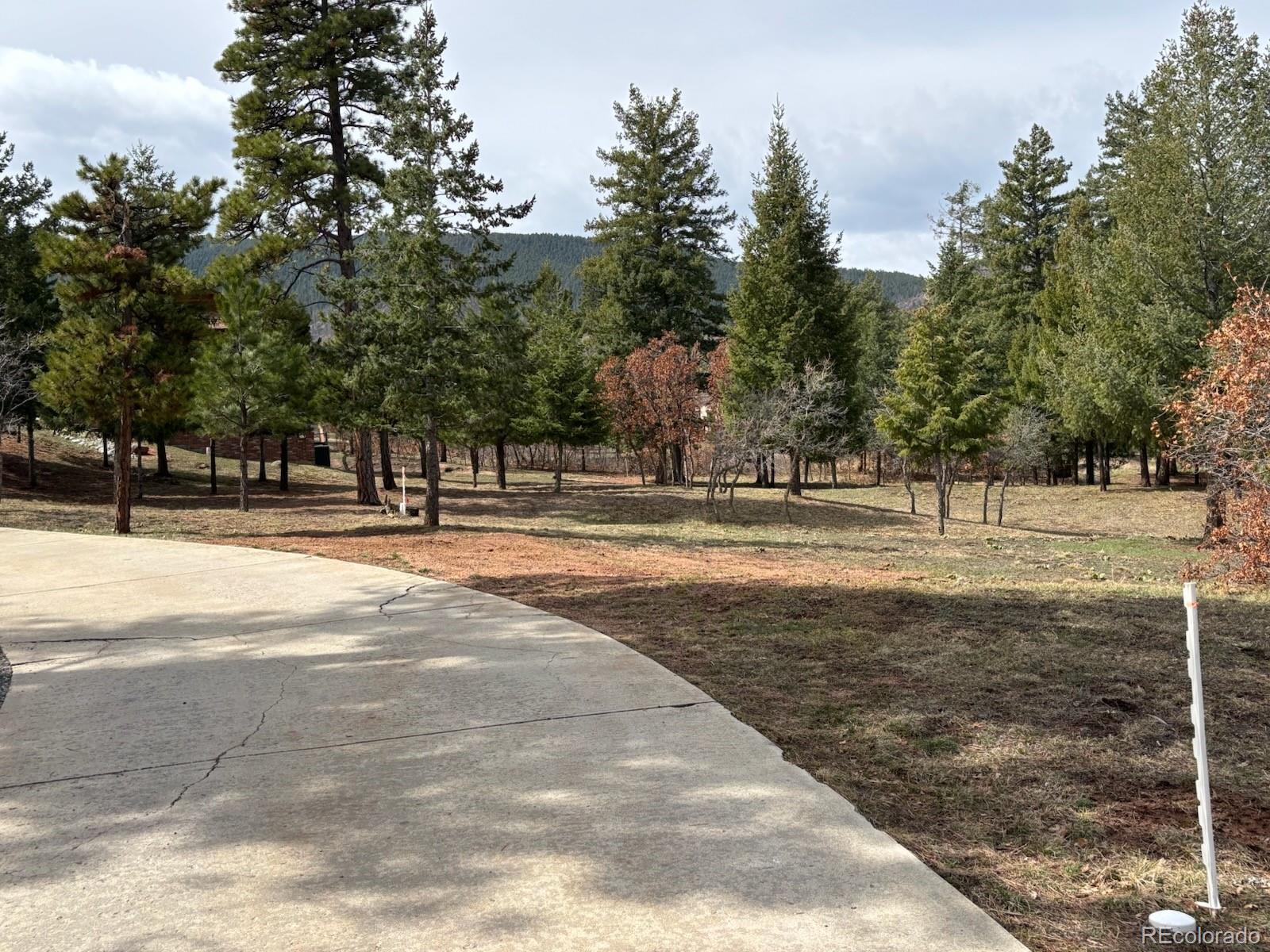 MLS Image #3 for 8229  red rock place,larkspur, Colorado