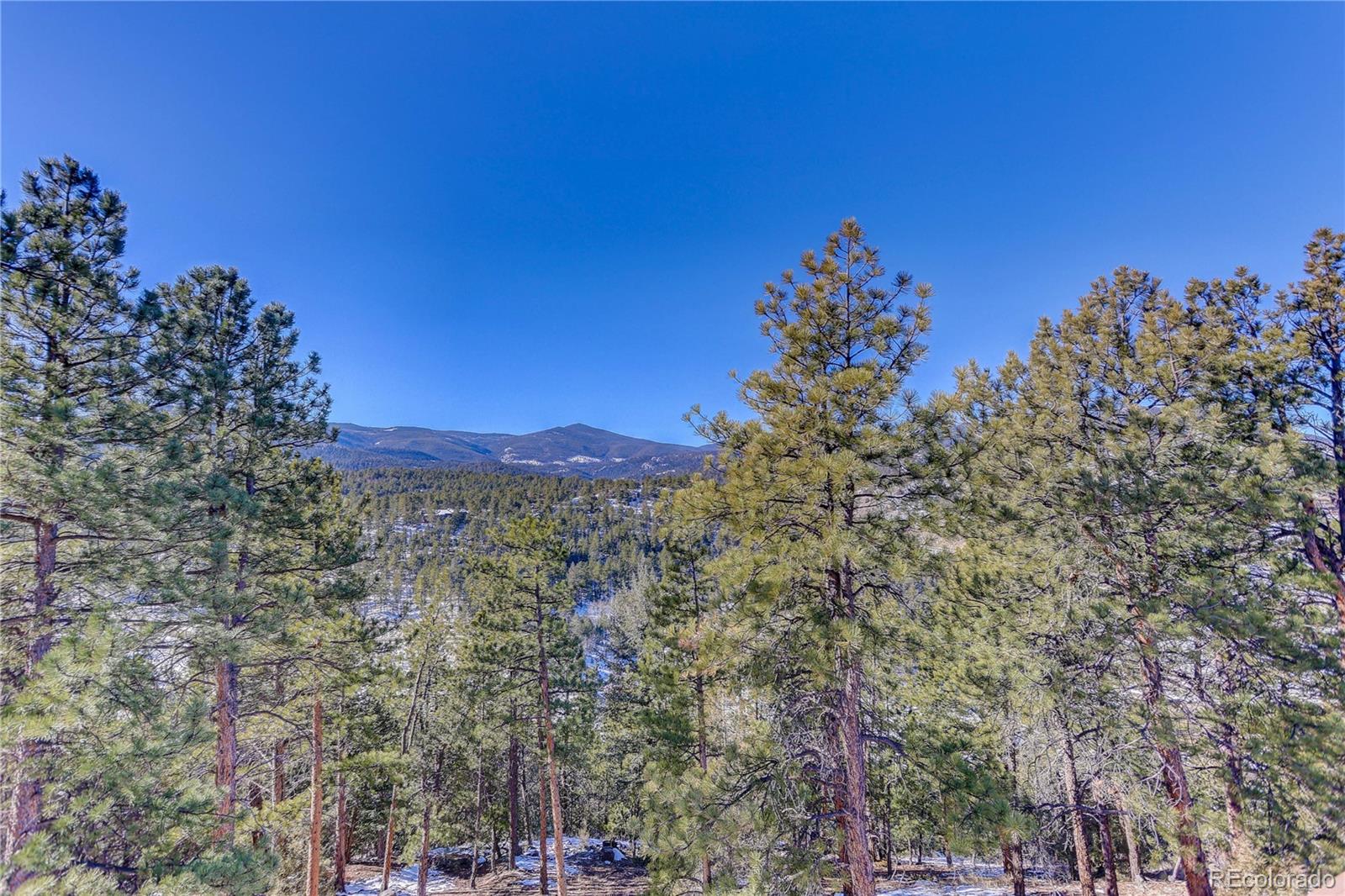 MLS Image #36 for 334  humphrey drive,evergreen, Colorado