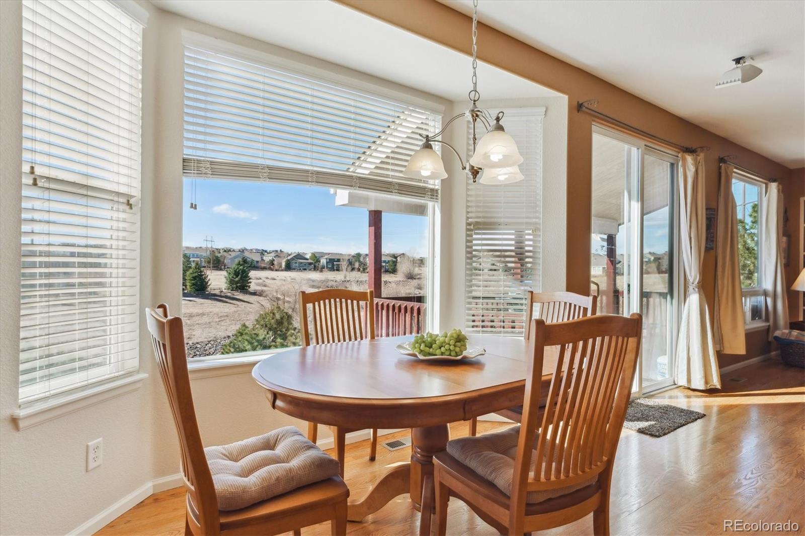 MLS Image #15 for 1022  orion way,castle rock, Colorado
