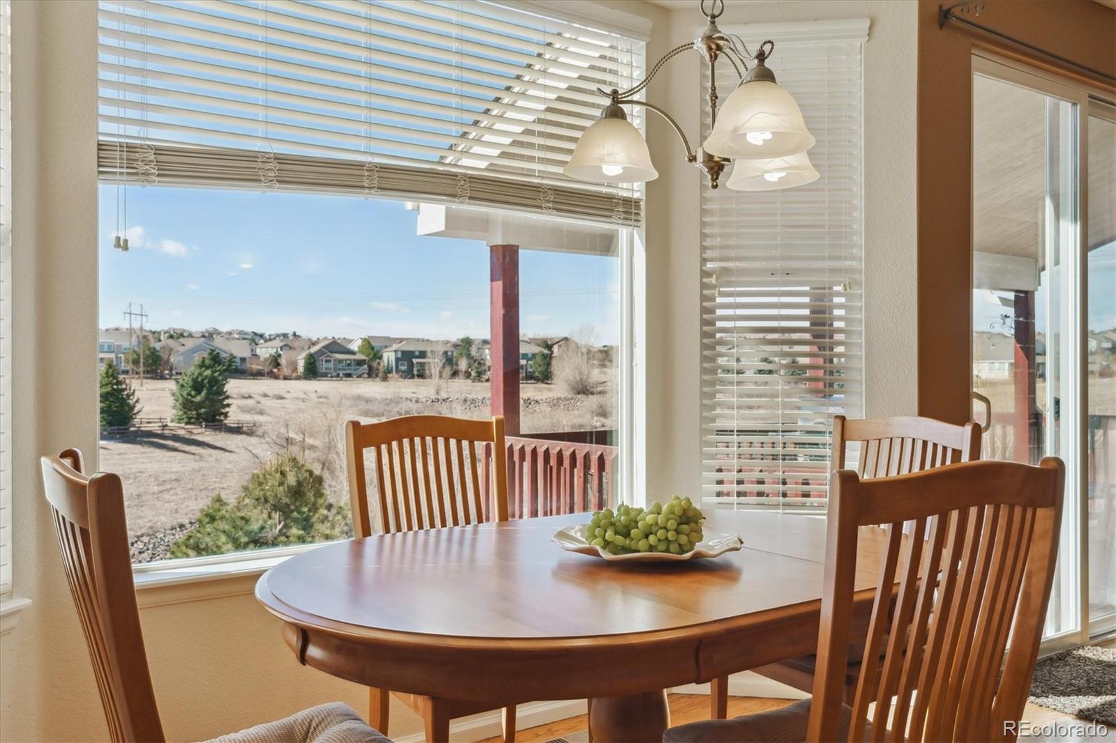 MLS Image #16 for 1022  orion way,castle rock, Colorado