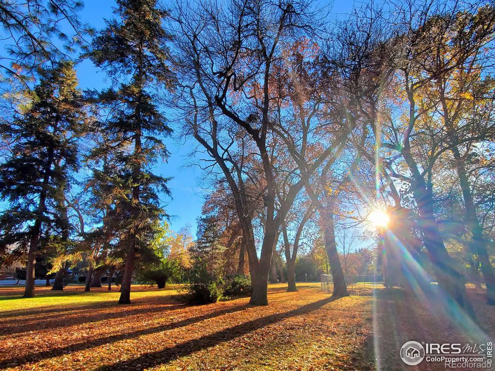 MLS Image #35 for 409  terry street,longmont, Colorado