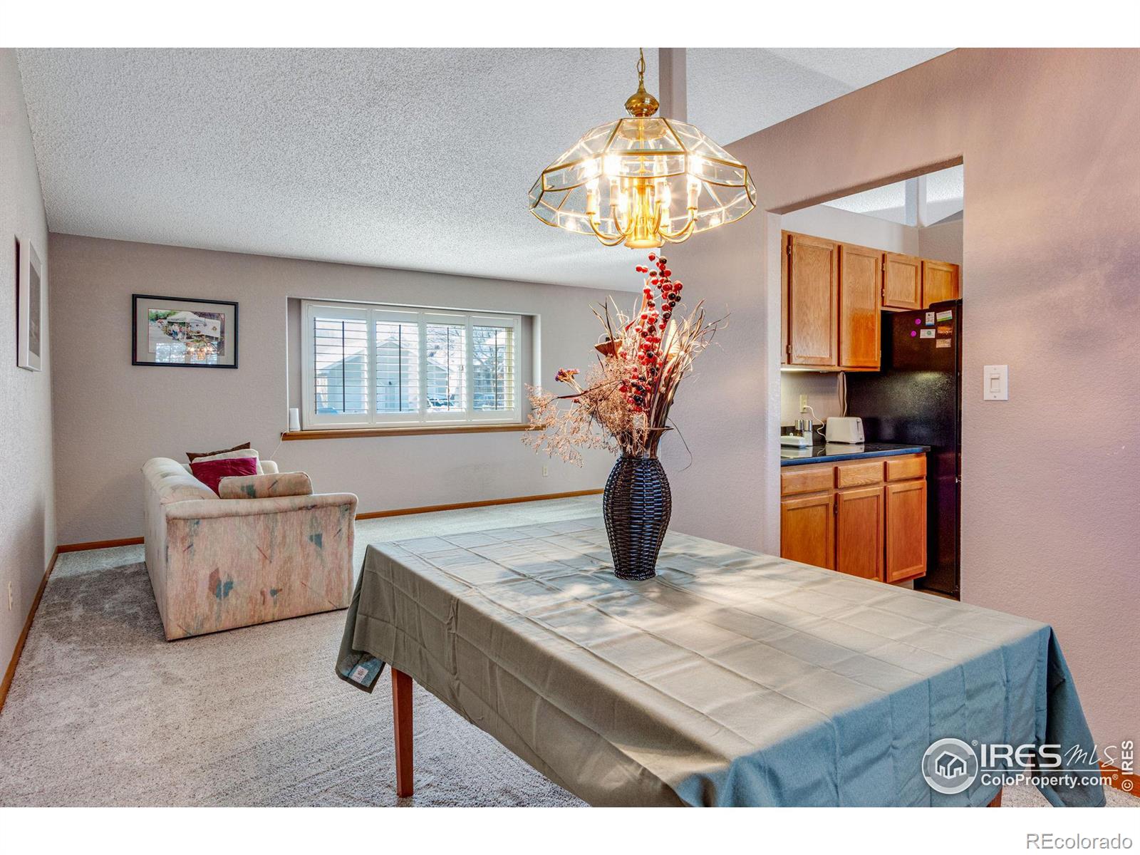 MLS Image #10 for 3802  cardiff court,loveland, Colorado
