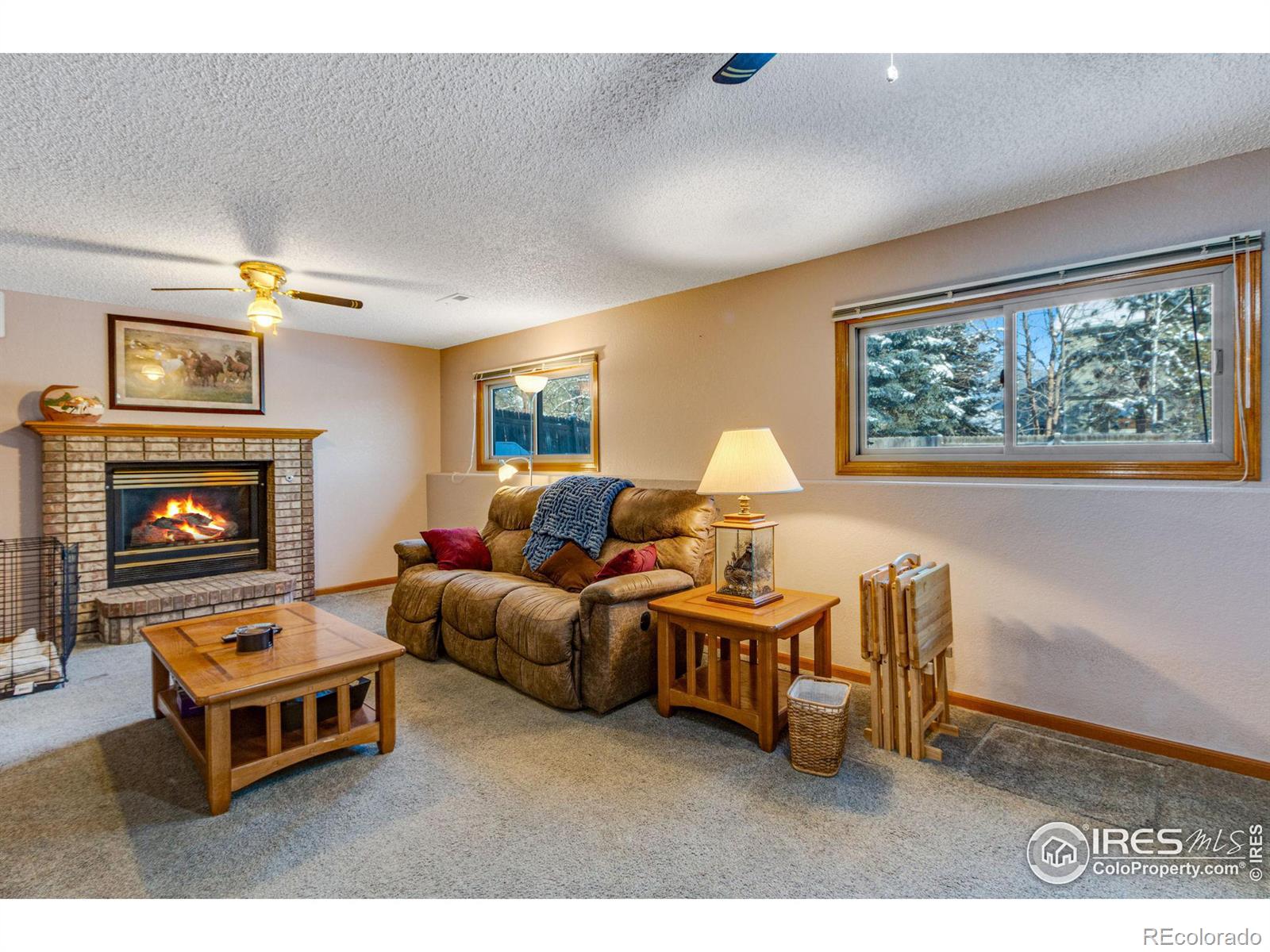 MLS Image #17 for 3802  cardiff court,loveland, Colorado