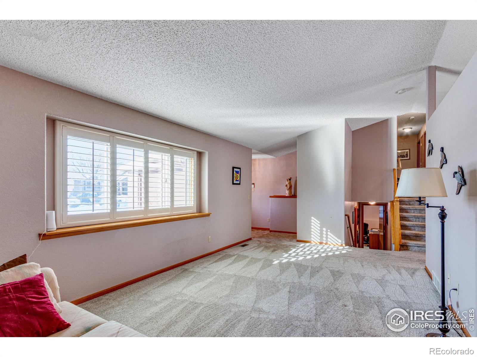 MLS Image #5 for 3802  cardiff court,loveland, Colorado