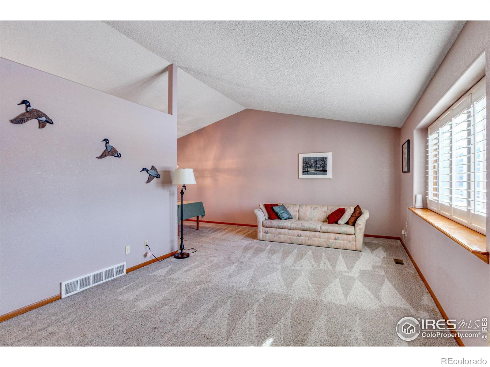 MLS Image #7 for 3802  cardiff court,loveland, Colorado