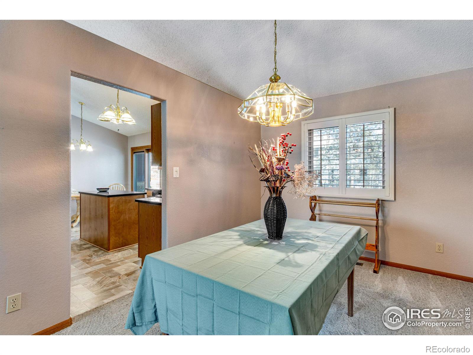 MLS Image #9 for 3802  cardiff court,loveland, Colorado