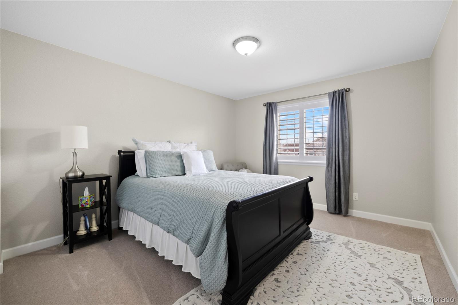 MLS Image #26 for 13735  steele court,thornton, Colorado