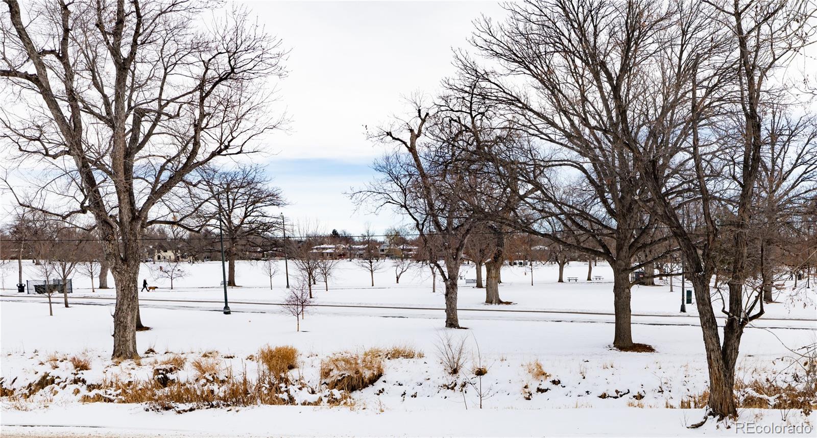 MLS Image #33 for 965 s downing street,denver, Colorado