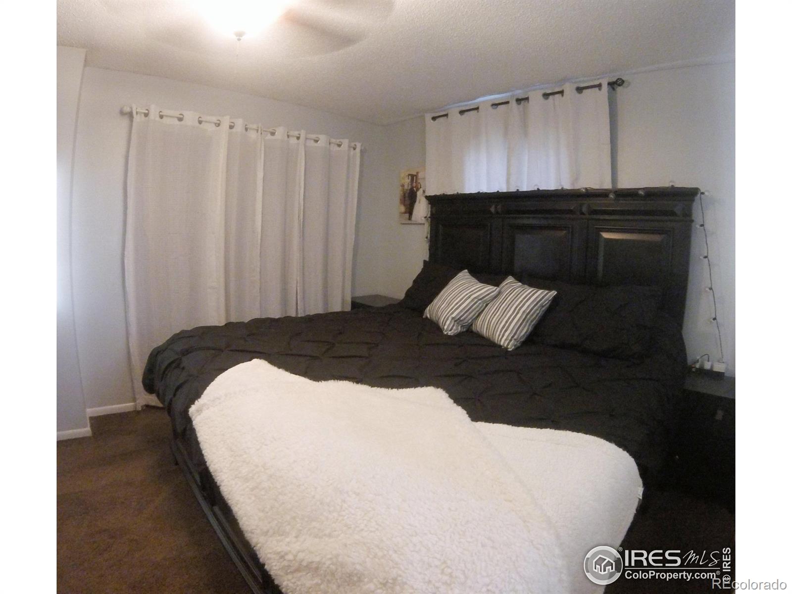 MLS Image #14 for 1079  williams street,brush, Colorado
