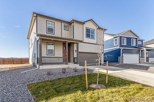 CMA Image for 5974  holstein drive,Windsor, Colorado