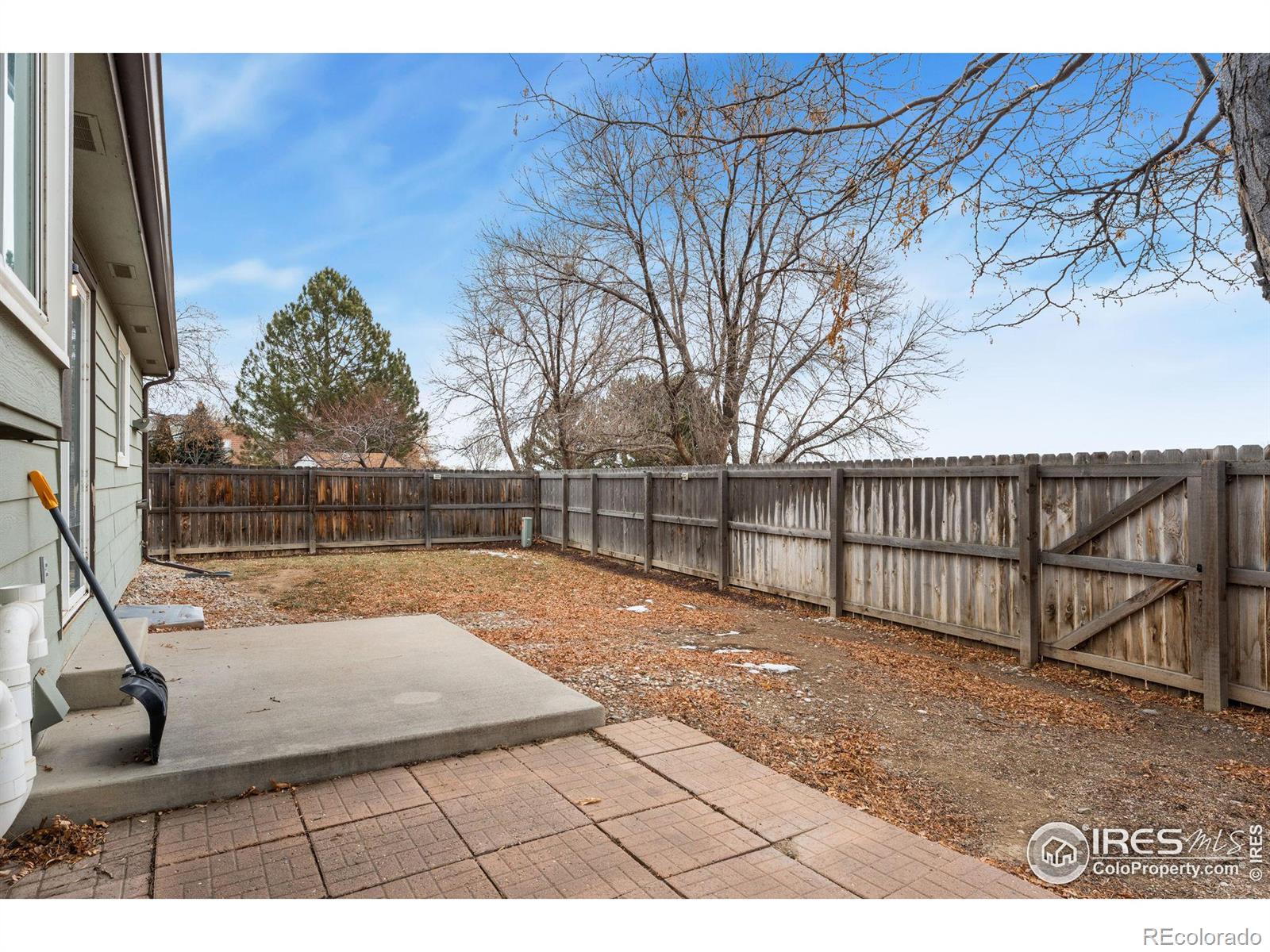 MLS Image #26 for 1634  oxford drive,loveland, Colorado