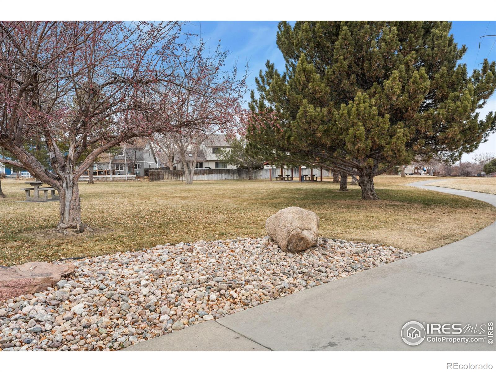 MLS Image #28 for 1634  oxford drive,loveland, Colorado