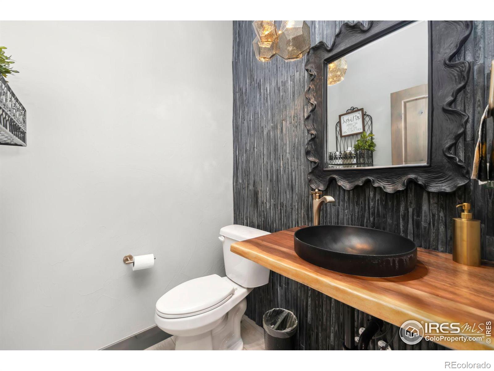 MLS Image #23 for 2648  bluewater road,berthoud, Colorado
