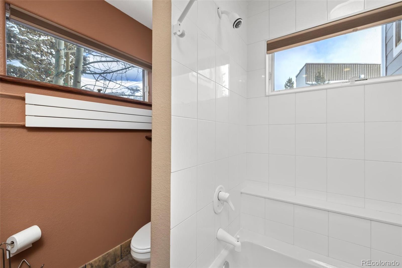 MLS Image #19 for 20  uneva place,copper mountain, Colorado