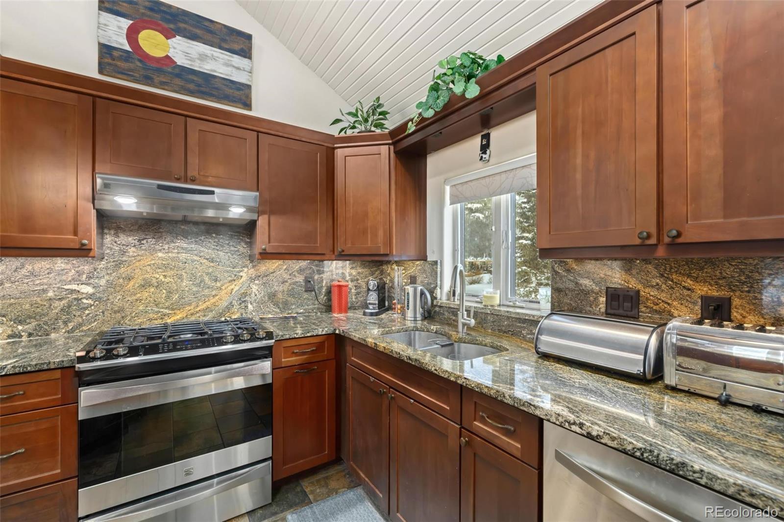 MLS Image #8 for 20  uneva place,copper mountain, Colorado