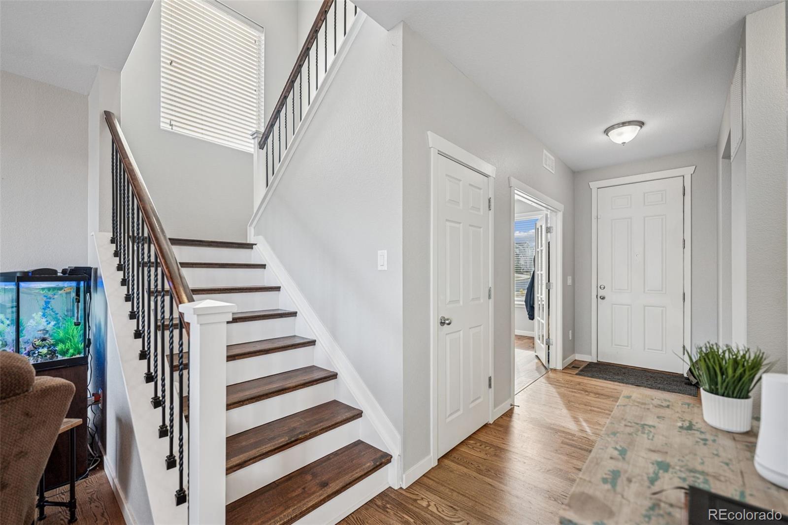 MLS Image #11 for 11594  yellow daisy drive,parker, Colorado