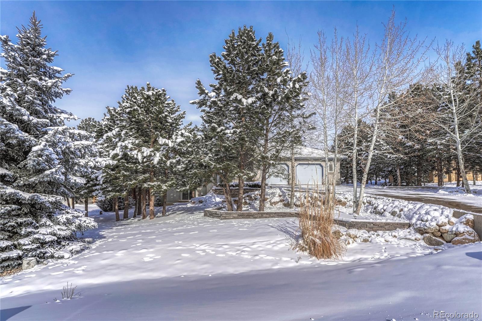 CMA Image for 1530  piney hill point,Monument, Colorado