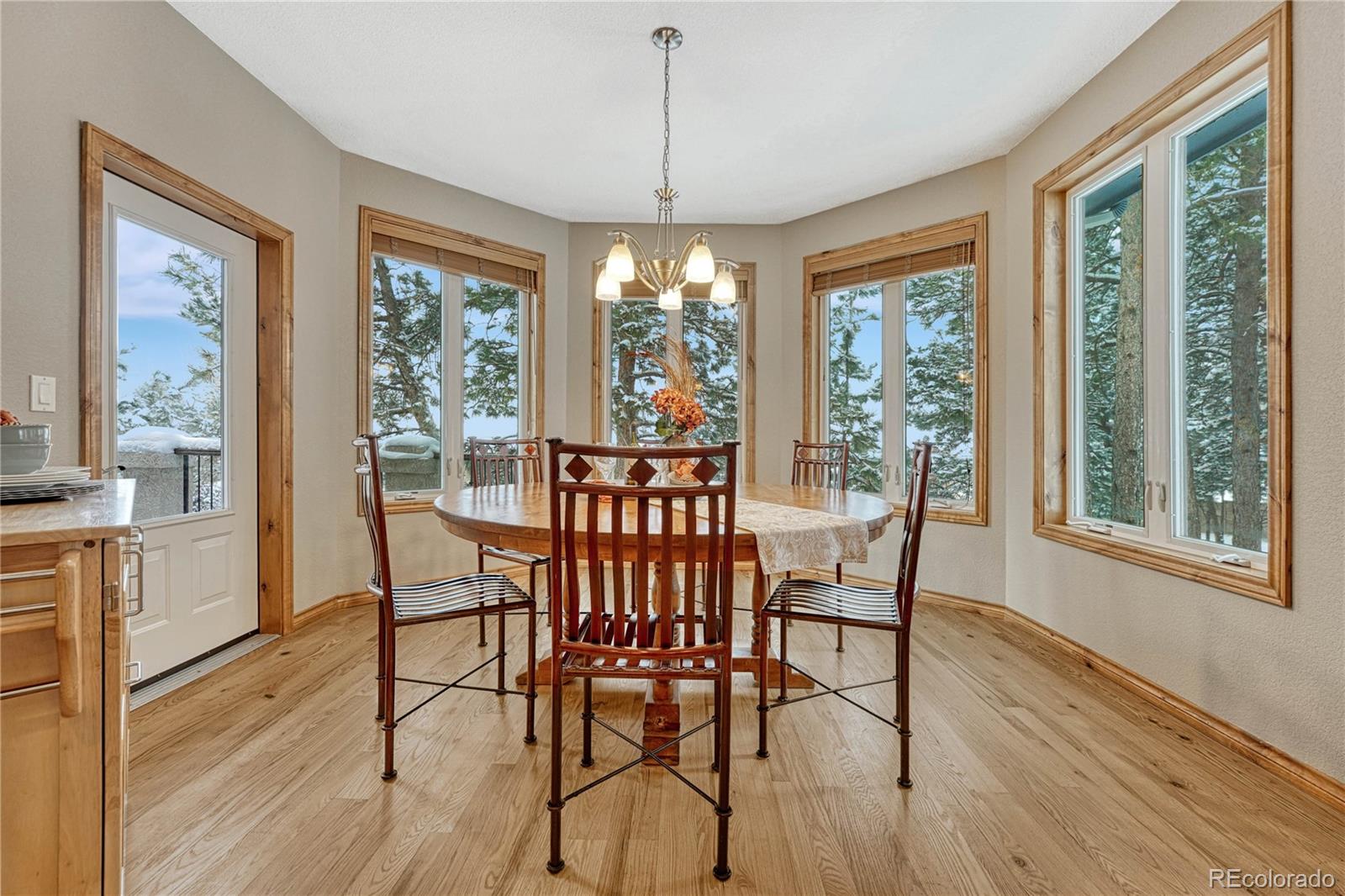 MLS Image #15 for 20434  kenneth lainer drive,monument, Colorado