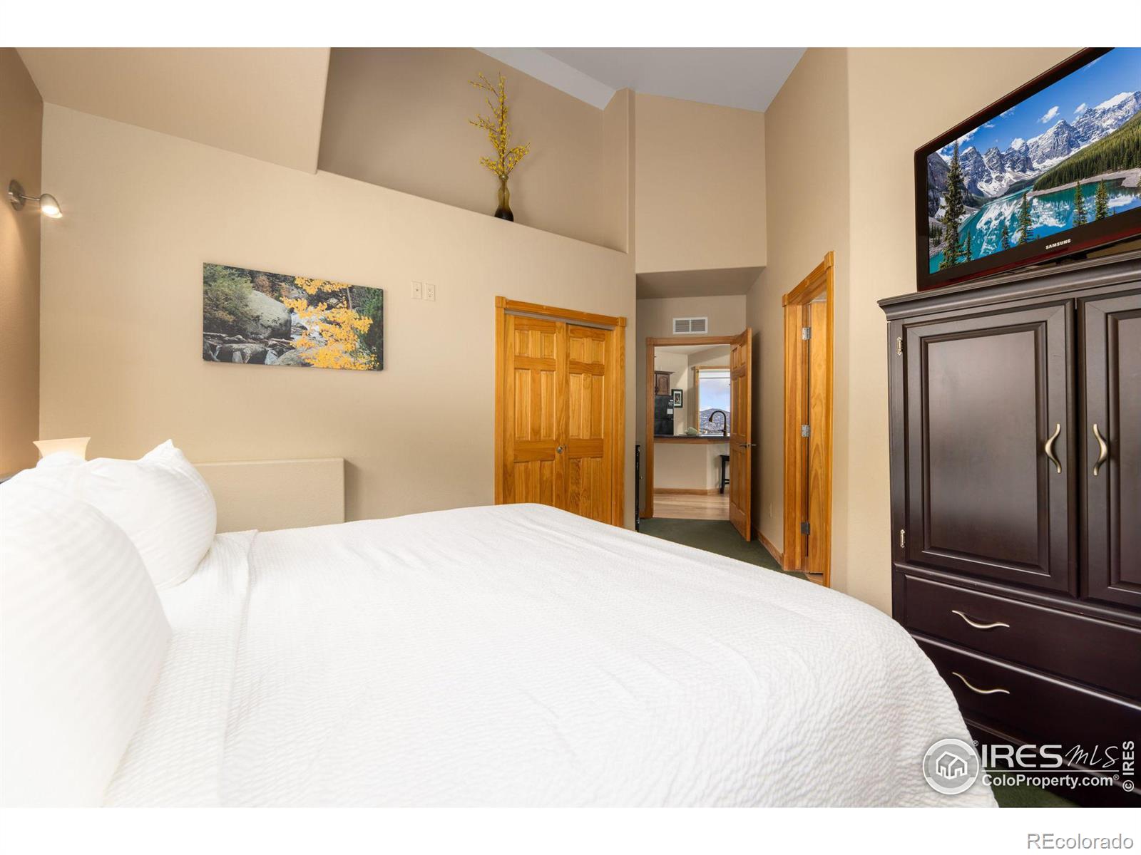 MLS Image #23 for 2625  marys lake road,estes park, Colorado