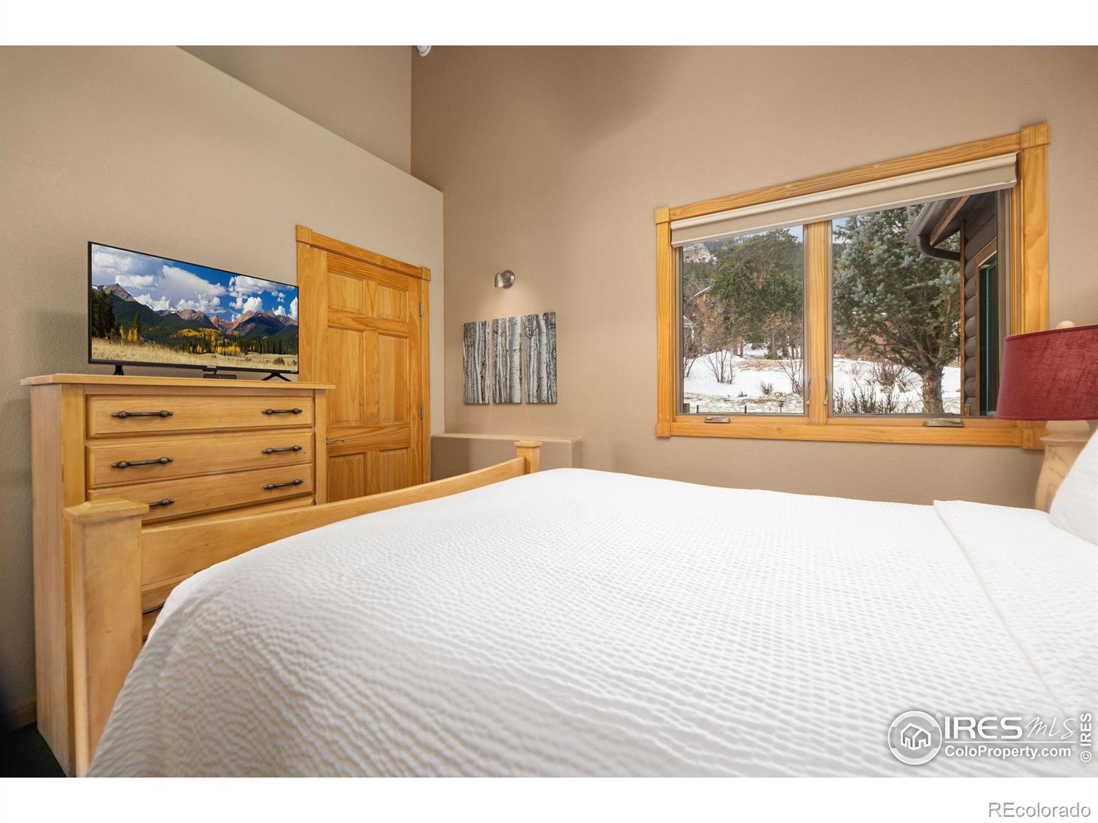 MLS Image #28 for 2625  marys lake road,estes park, Colorado