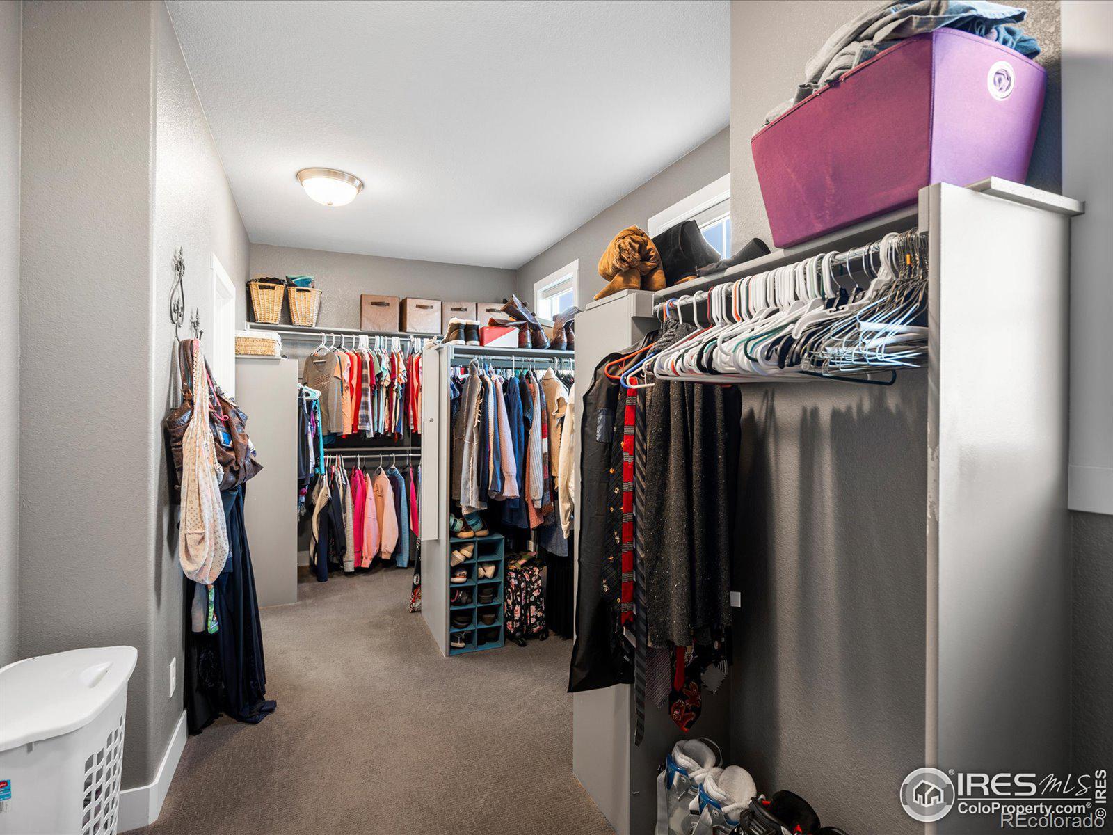 MLS Image #29 for 8175  blackwood drive,windsor, Colorado